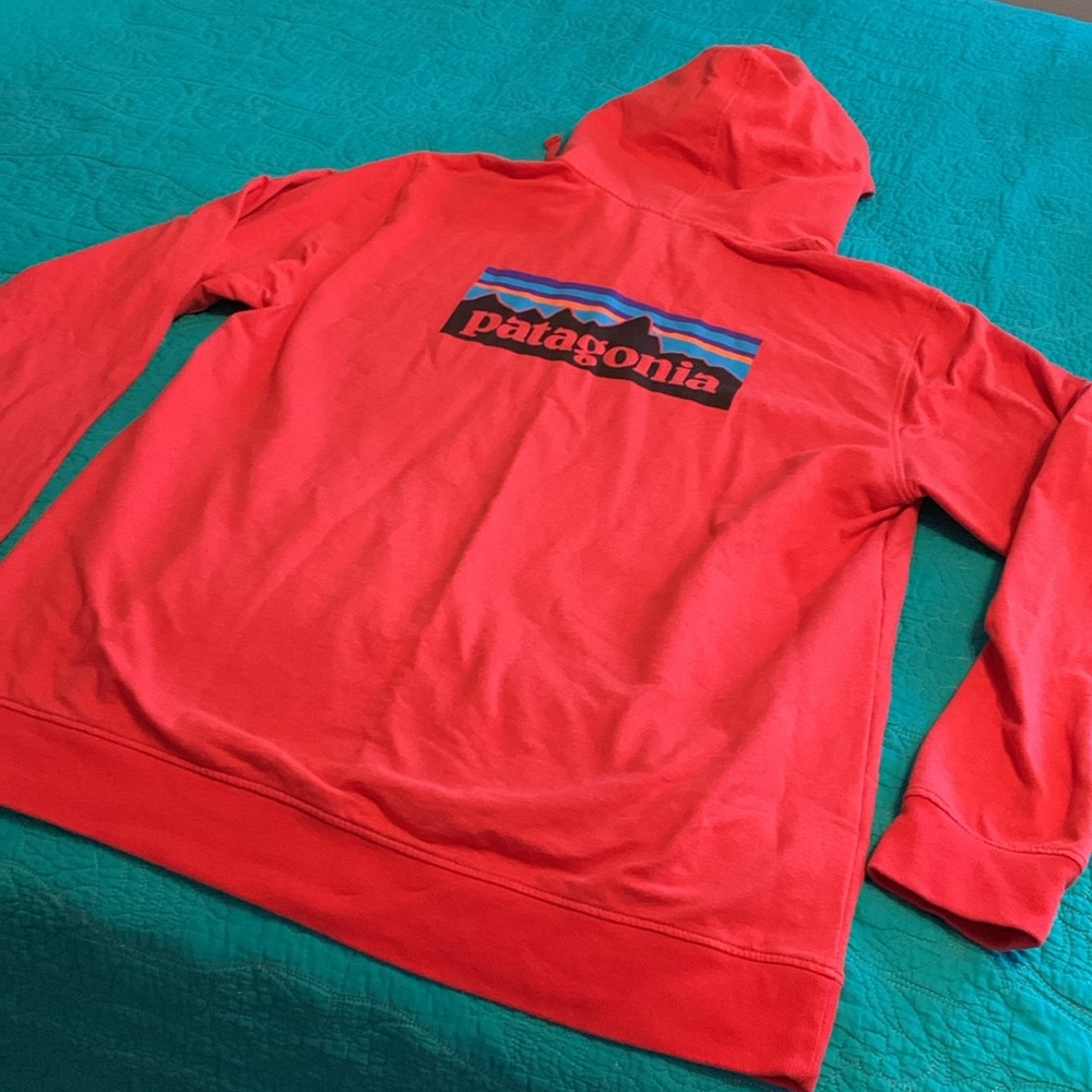 Patagonia Jacket - image 2